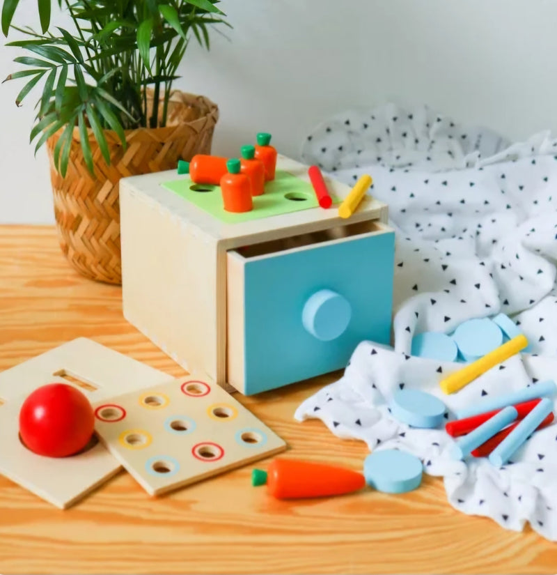 Toddlers and Pre-schoolers Montessori Educational Toys - Gifts for Toddlers - Gifts for Pre-Schoolers in Lebanon - OneTwoPlay-lb delivery in Lebanon