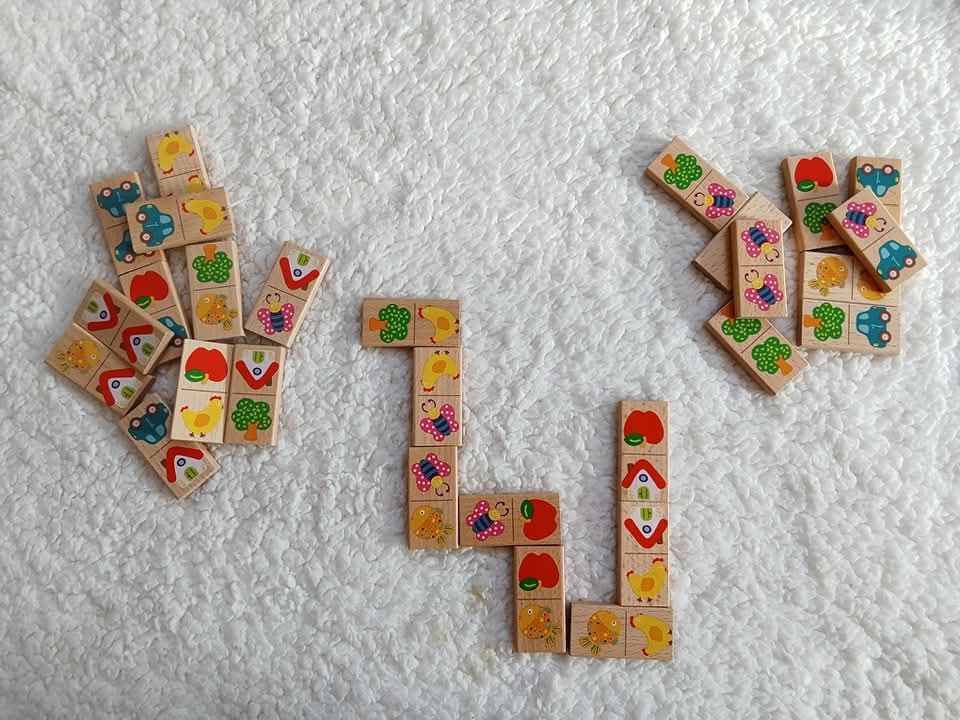 Kids Wooden Dominos