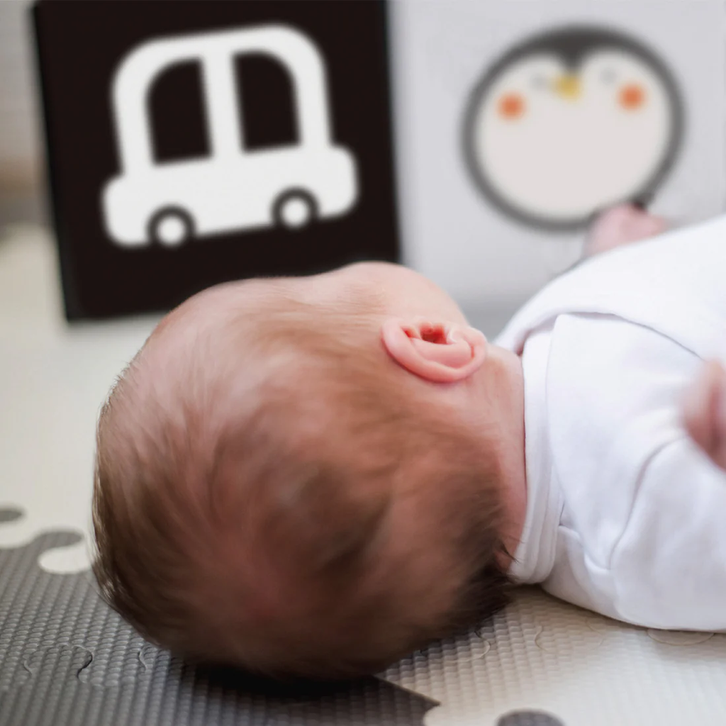 0 - 6 Months Educational Box