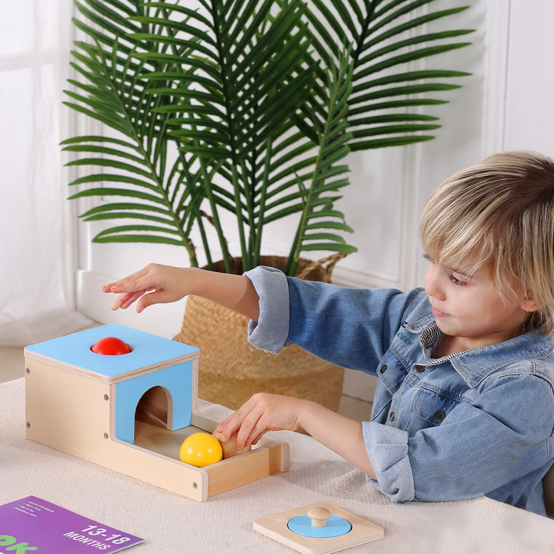 Object Permanence Box - Montessori Baby Toy