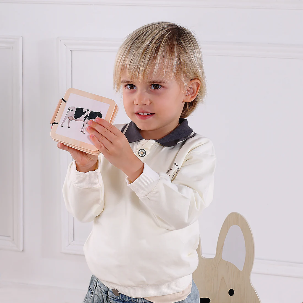 7 - 12 Months Educational Box