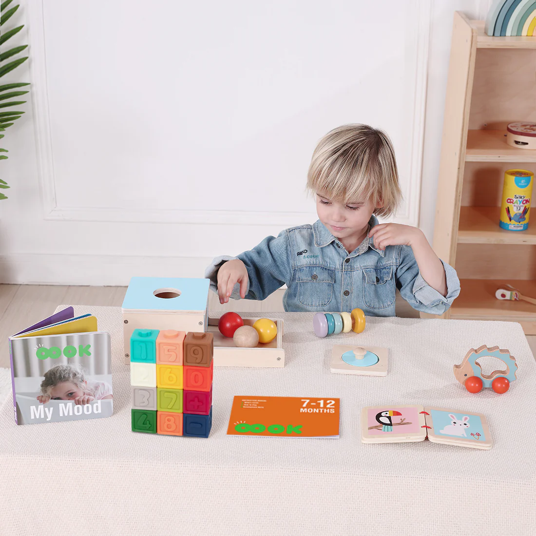 7 - 12 Months Educational Box