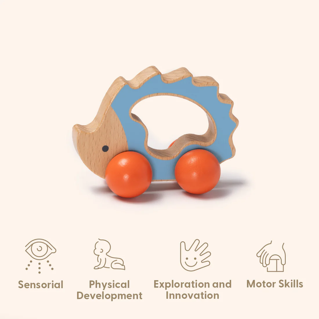 7 - 12 Months Educational Box