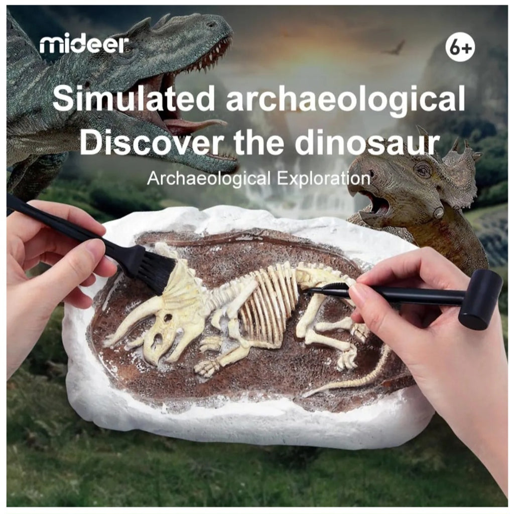 Revive A Pterosaur - Dig A Dinosaur Kit