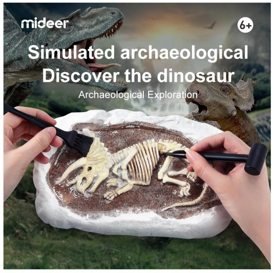 Revive A Pterosaur - Dig A Dinosaur Kit