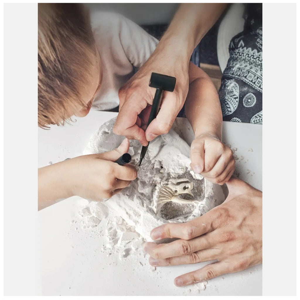 Revive A Pterosaur - Dig A Dinosaur Kit