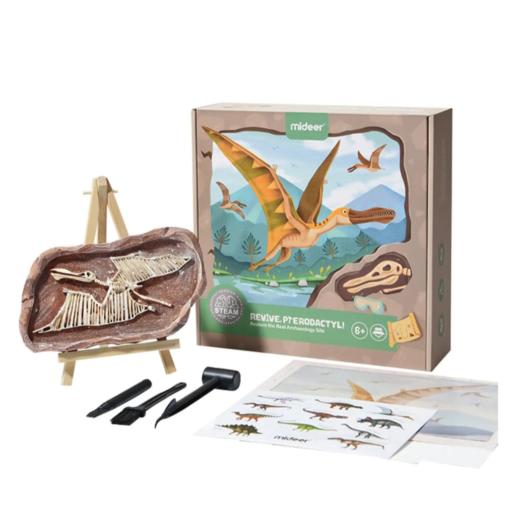 Revive A Pterosaur - Dig A Dinosaur Kit