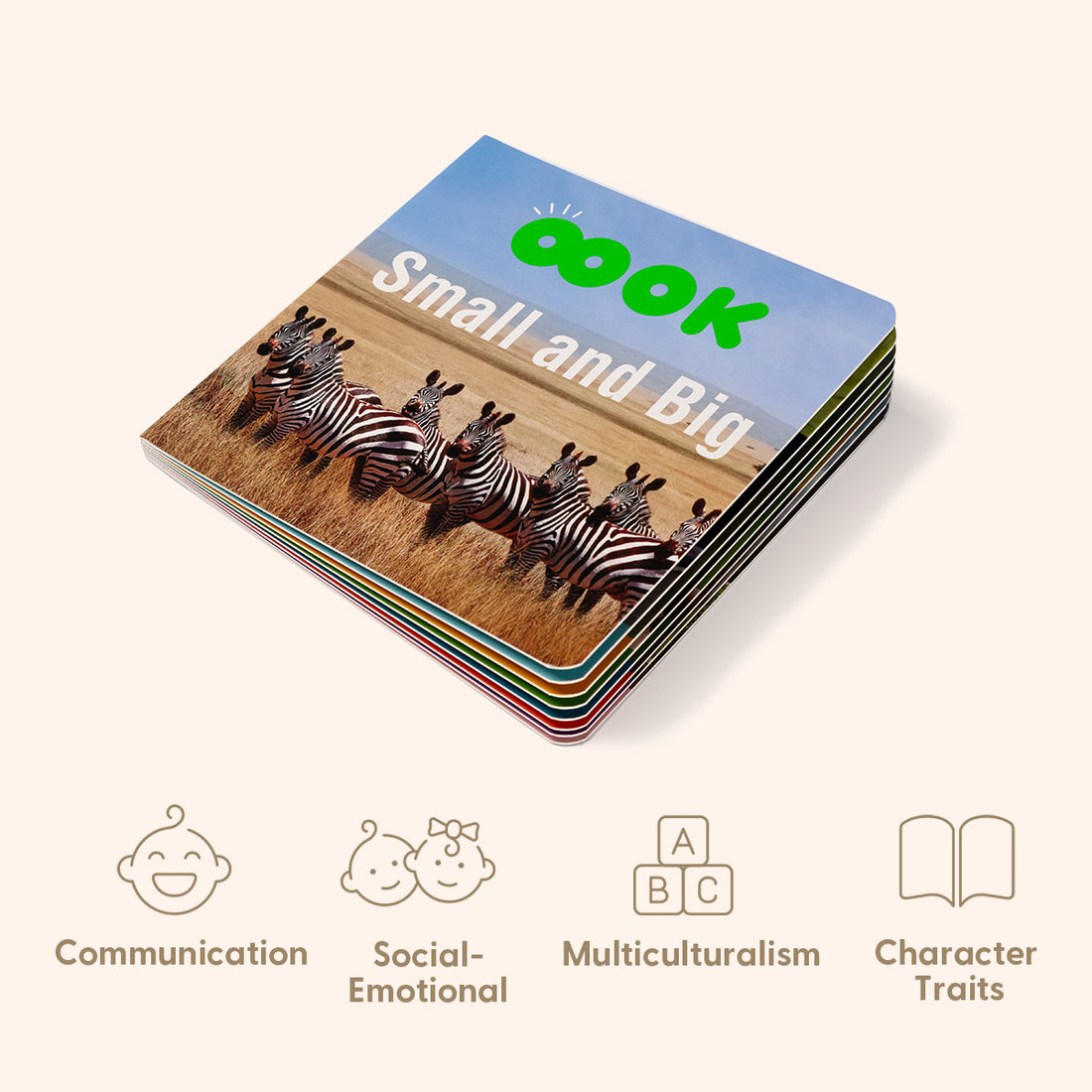 19 - 24 Months Educational Box