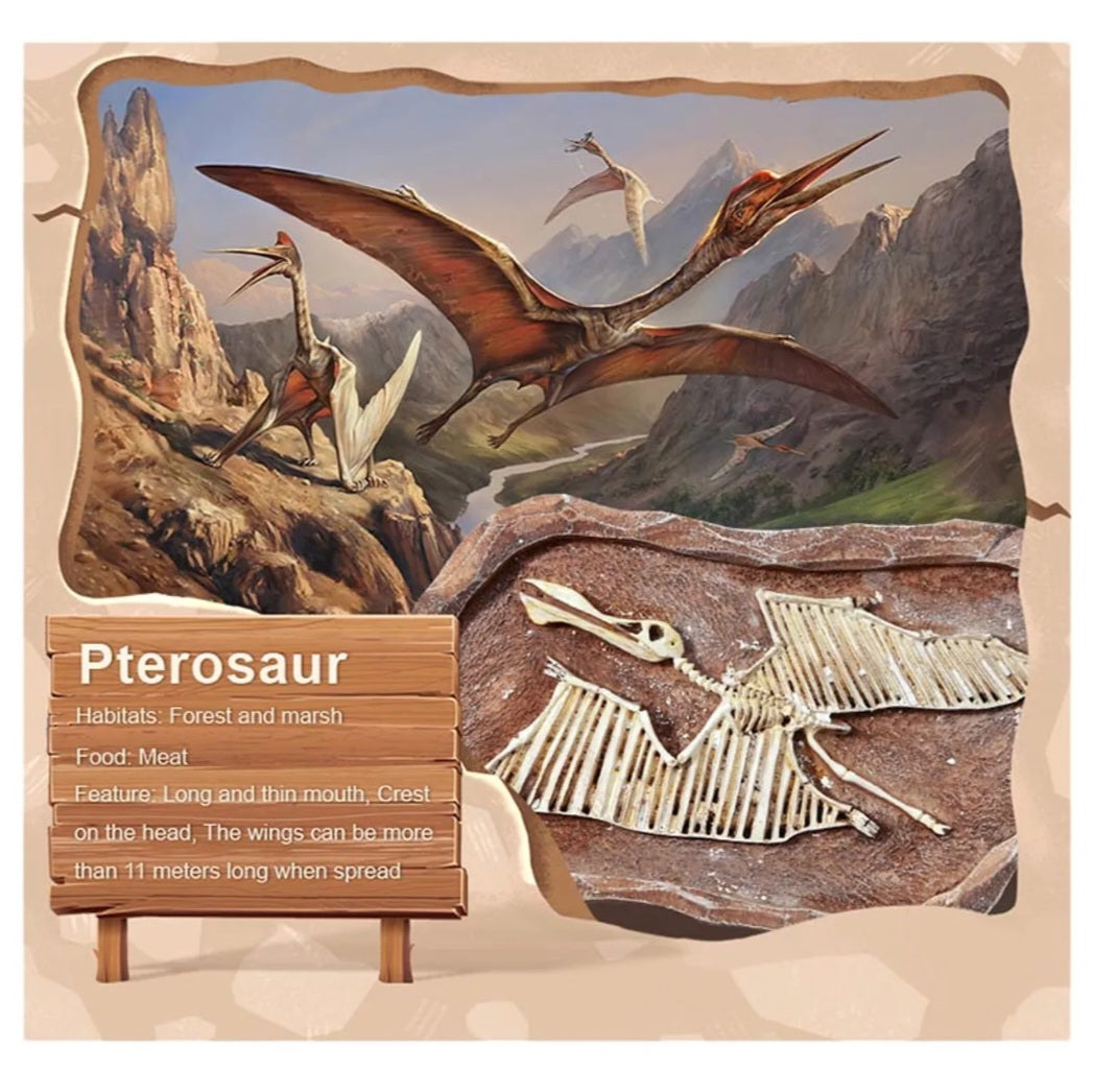 Revive A Pterosaur - Dig A Dinosaur Kit
