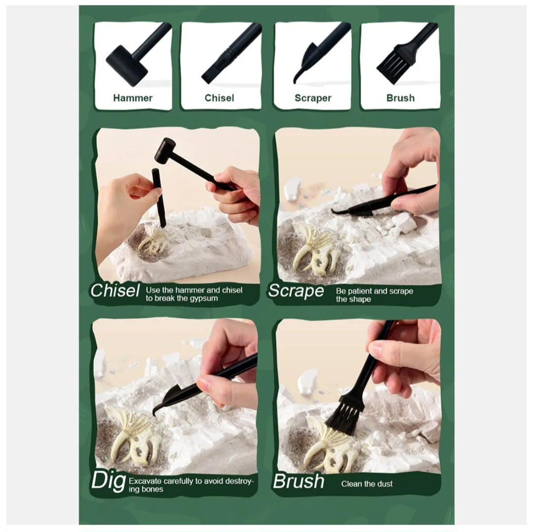 Revive A Pterosaur - Dig A Dinosaur Kit