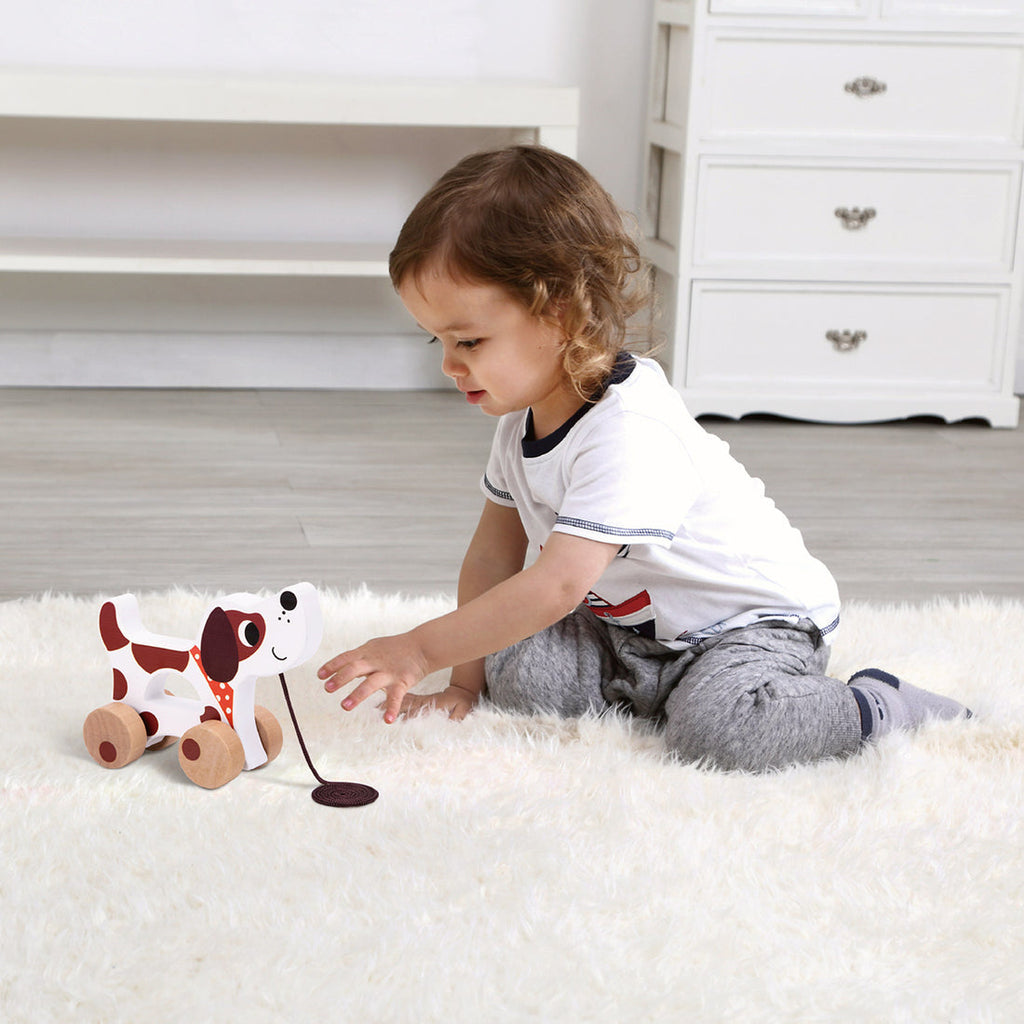 19 - 24 Months Educational Box