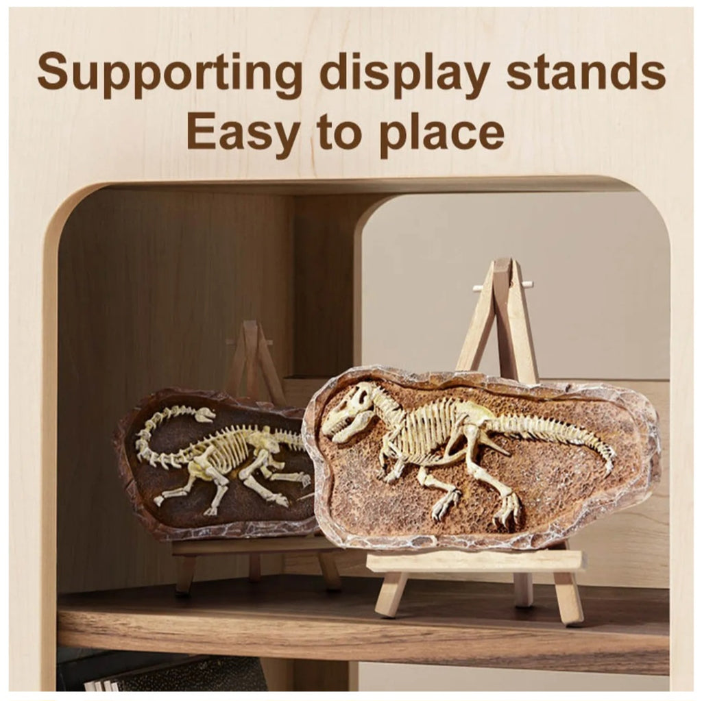 Revive A Pterosaur - Dig A Dinosaur Kit